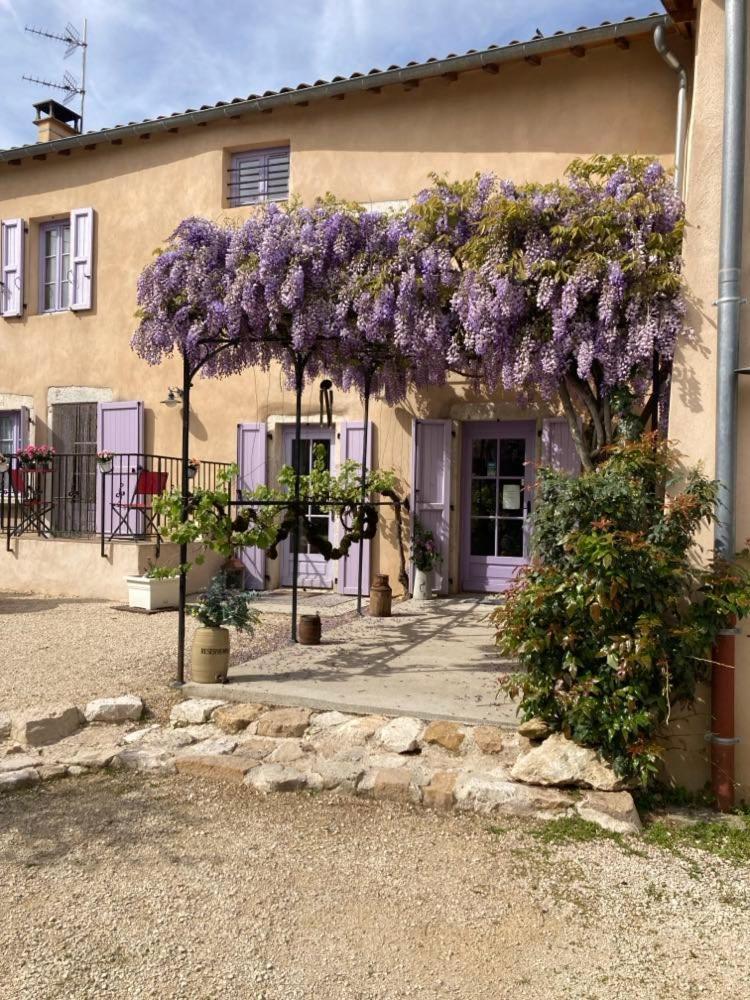 GITE DU ROY D'AMONT  Lagnieu Exterior foto
